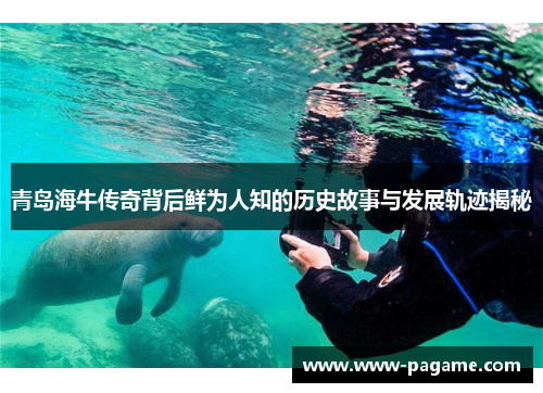 青岛海牛传奇背后鲜为人知的历史故事与发展轨迹揭秘 青岛海牛传奇背后鲜为人知的历史故事与发展轨迹揭秘