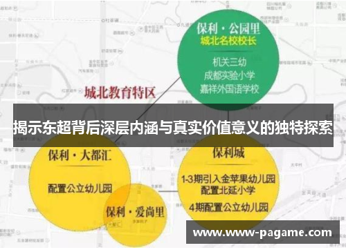 揭示东超背后深层内涵与真实价值意义的独特探索 揭示东超背后深层内涵与真实价值意义的独特探索