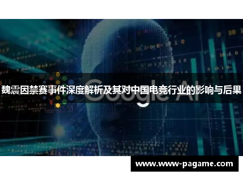 魏震因禁赛事件深度解析及其对中国电竞行业的影响与后果 魏震因禁赛事件深度解析及其对中国电竞行业的影响与后果