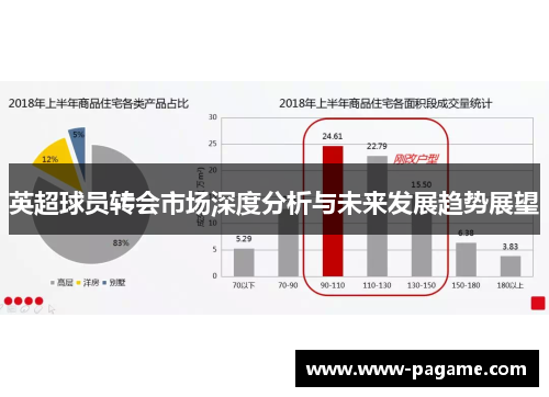 英超球员转会市场深度分析与未来发展趋势展望
