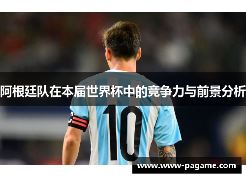 阿根廷队在本届世界杯中的竞争力与前景分析