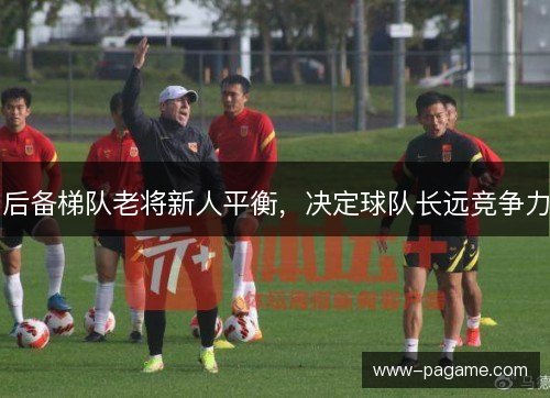后备梯队老将新人平衡,决定球队长远竞争力 后备梯队老将新人平衡,决定球队长远竞争力