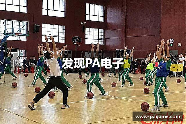发现PA电子
